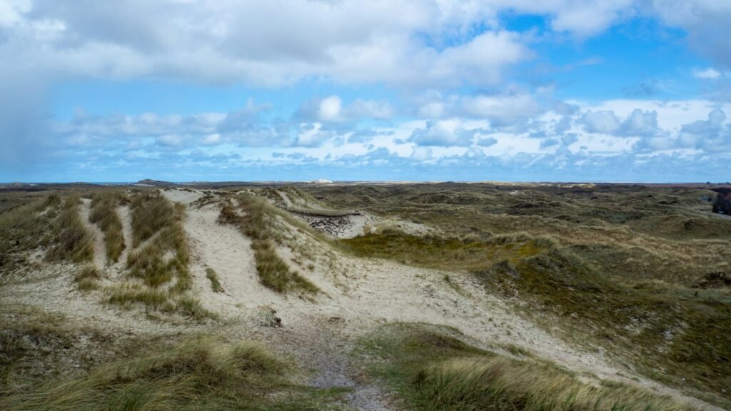 Green dunes under a blue sky on a Dutch island