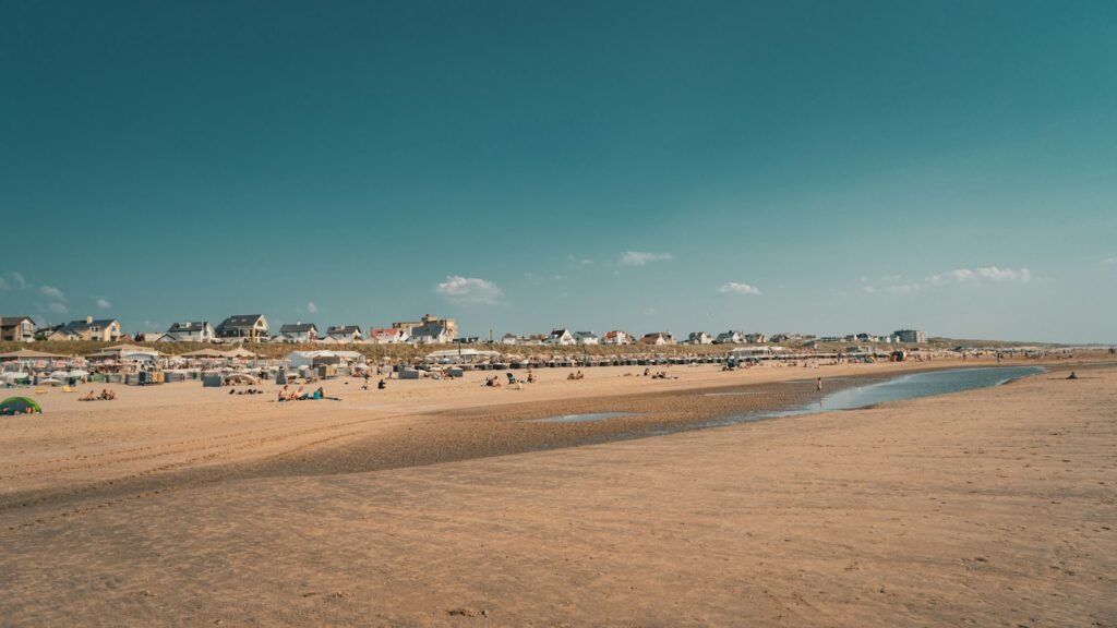 People on a sandy beach by the sea