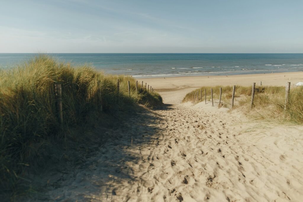 Sandy path through the dunes to Zandvoort beach on the North Sea