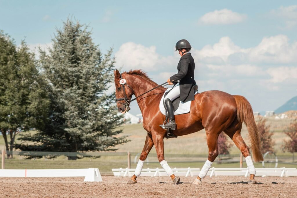 Rider on a brown horse